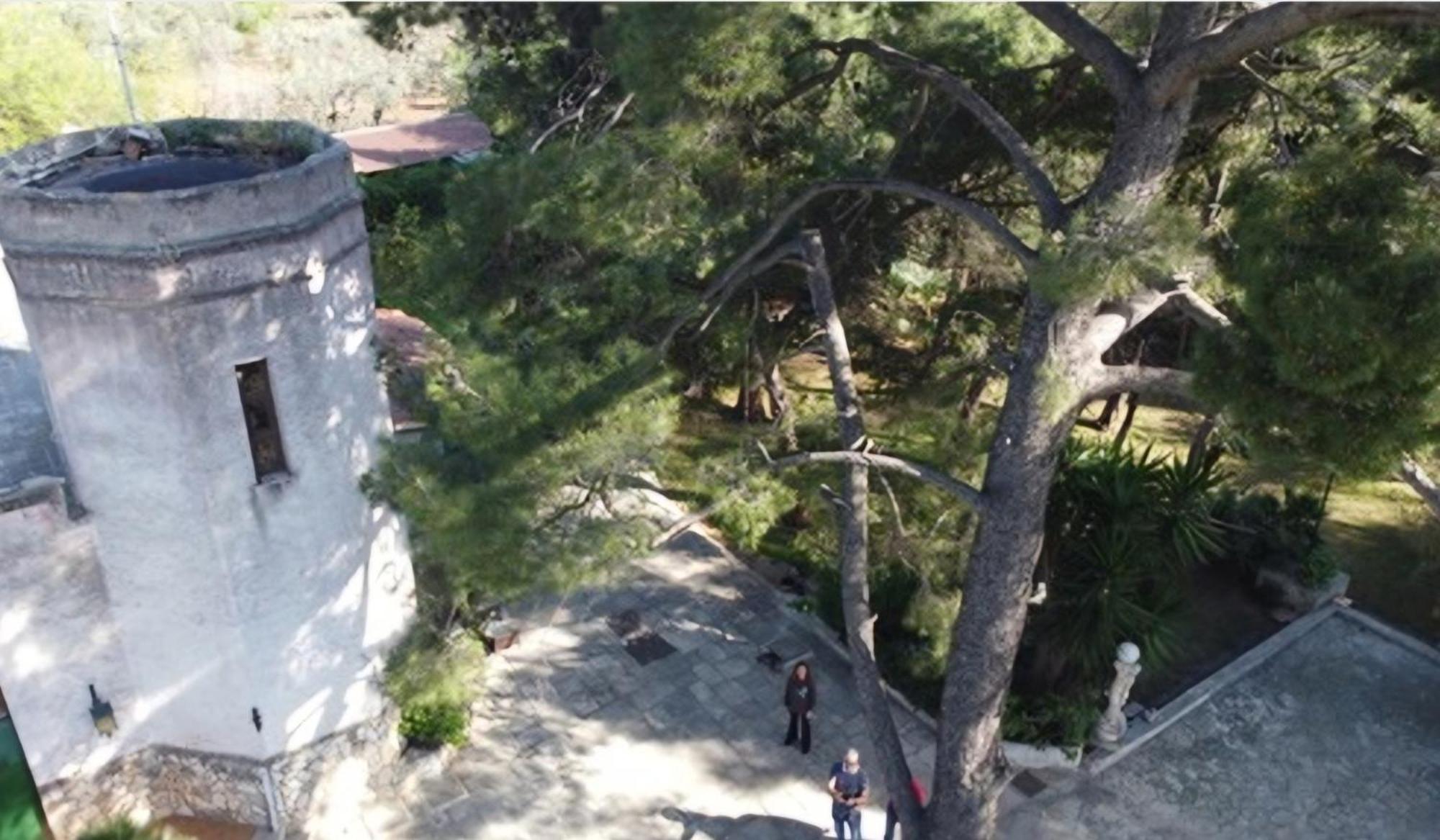 Villa Torre Del Sole Bari Exterior foto